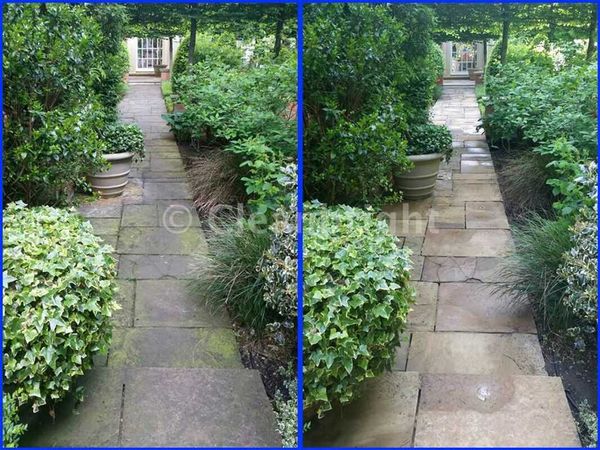 before and after stone pathway cleaning